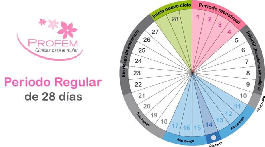 Método del ritmo explicación completa